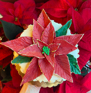 Small Holiday Poinsettia Cake *Cake of the Month